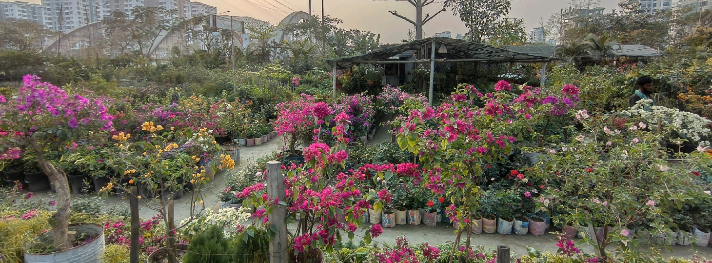 Ma Er Dowa Nursery -2