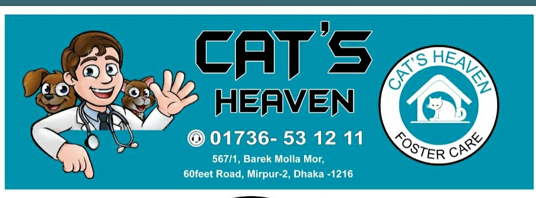 Cat's Heaven Foster Care