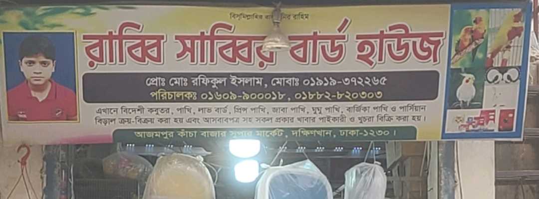 Rabbi Sabbir Bird House 