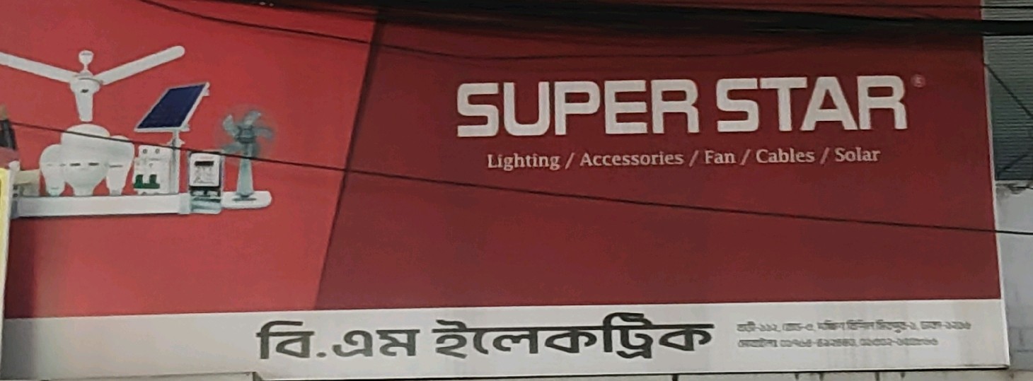 BM Electric