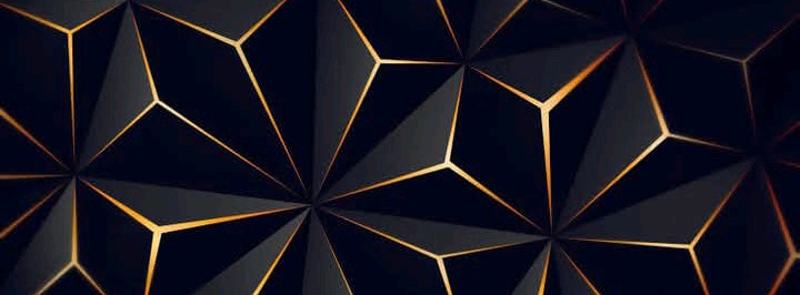 Anjus Collection 