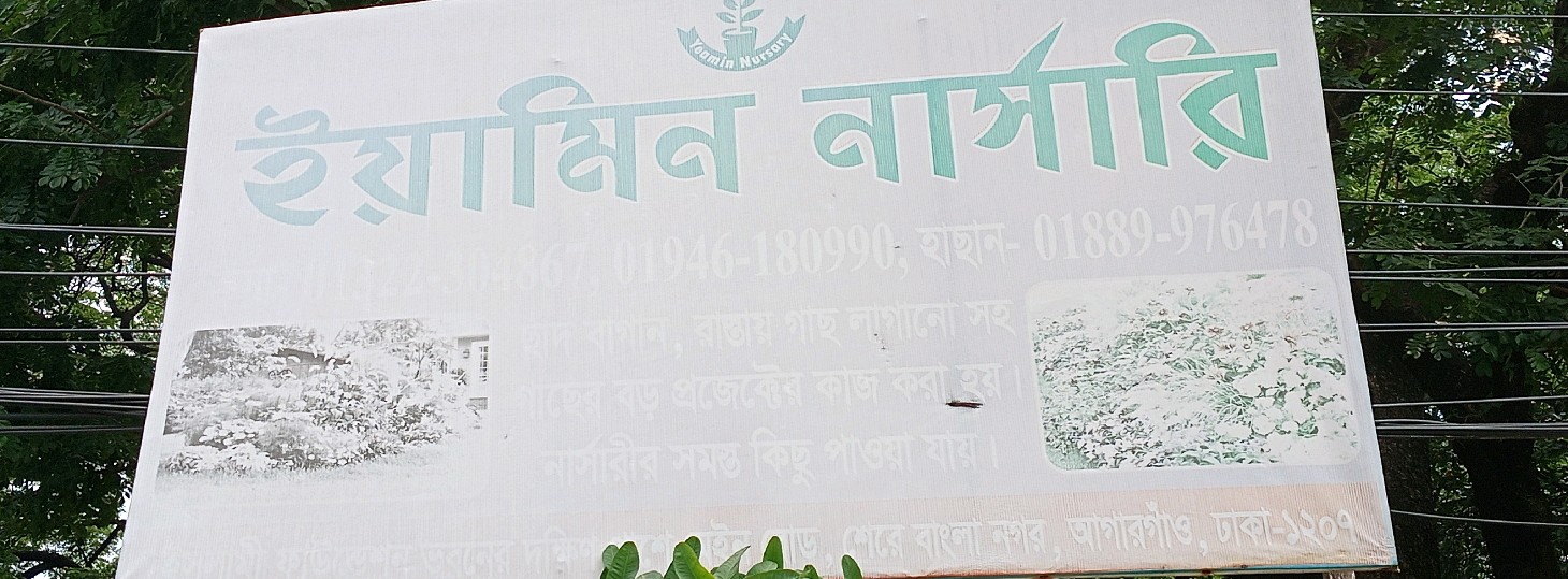 Yamin Nursery 