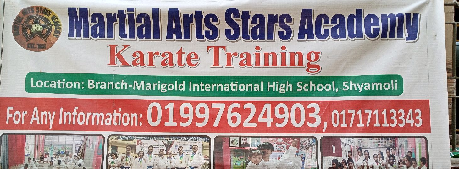 Martial Arts Star Academy 