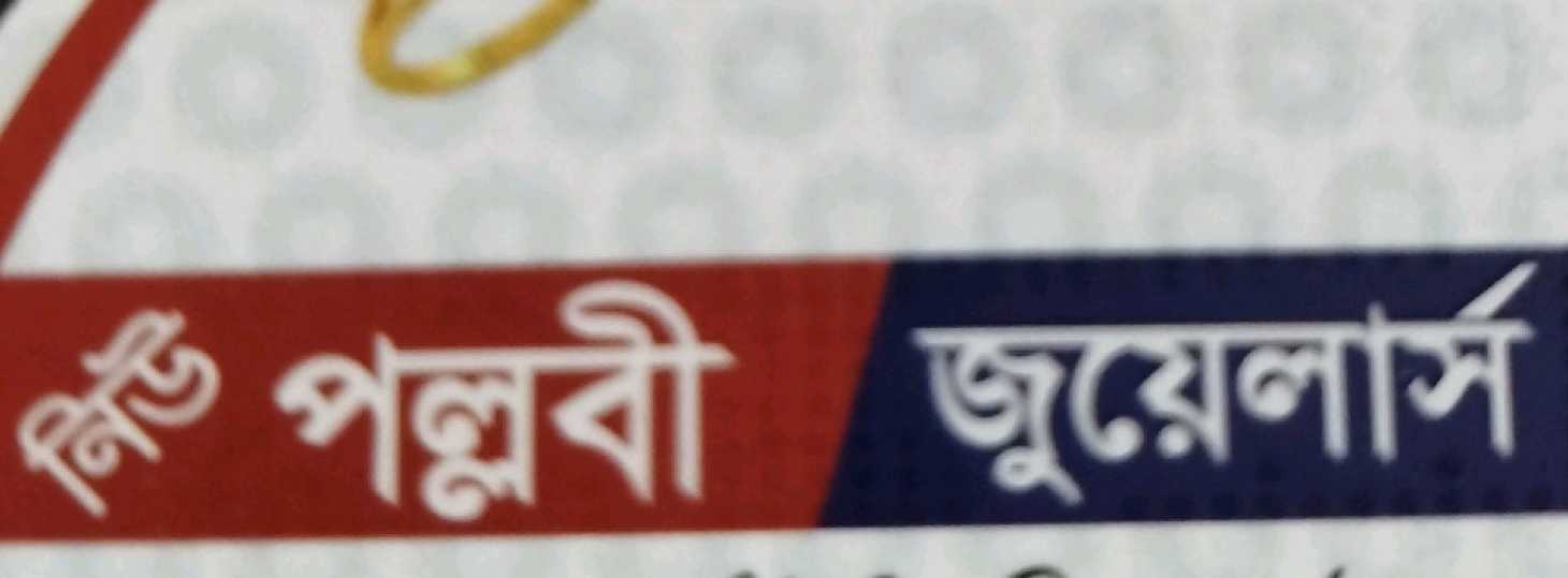 New Pallabi Jewellers