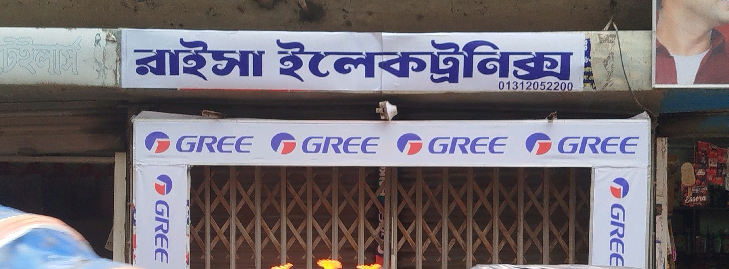 Raisa Electronics 