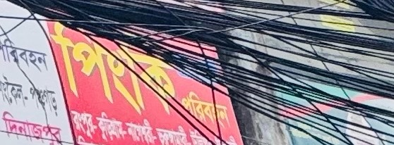Pinki Paribahan