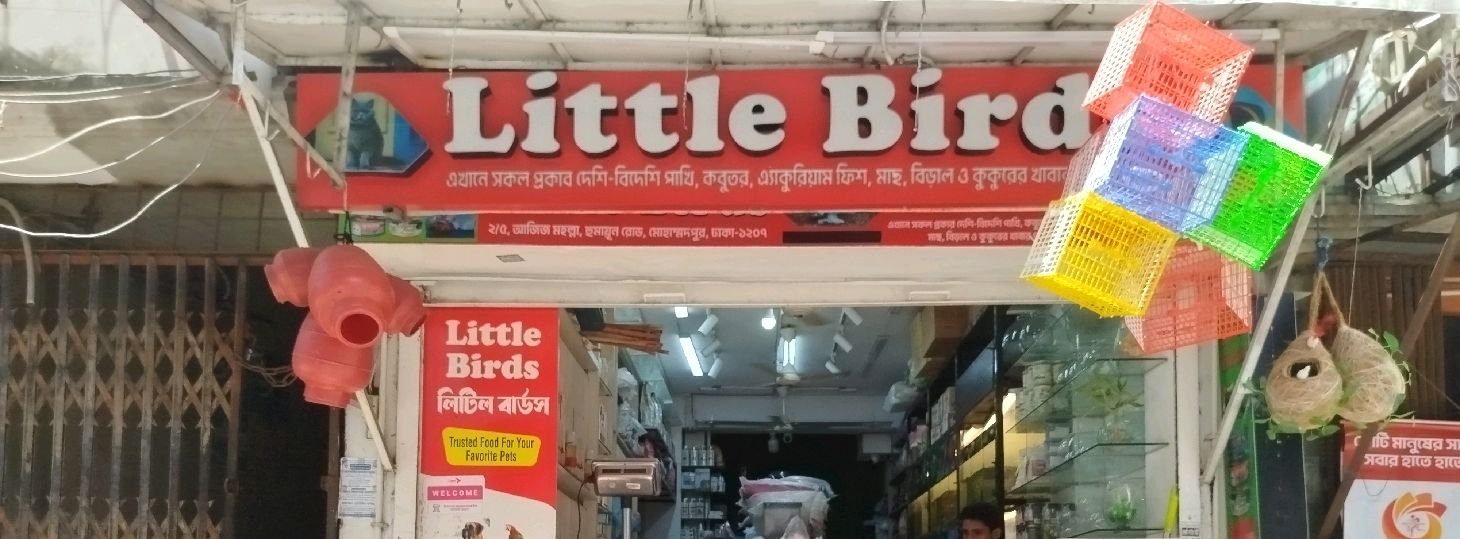 Little Birds