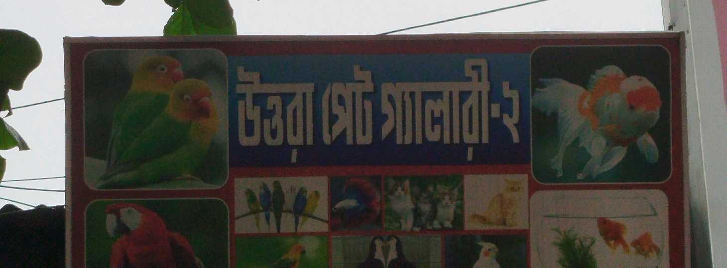 Uttara Pet Gallery