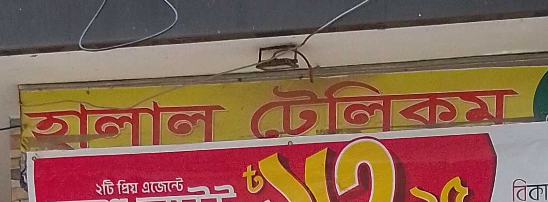 Halal Telecom