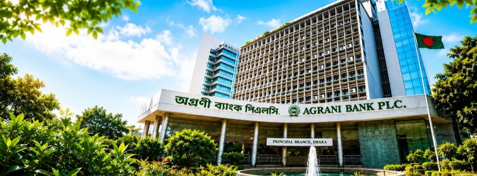 Head Office