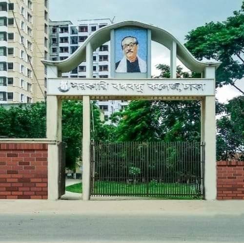 Government Bangabandhu University College
