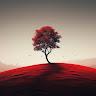 Ashiqul Haque